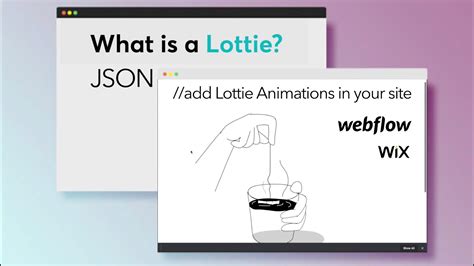 lottie json animation.